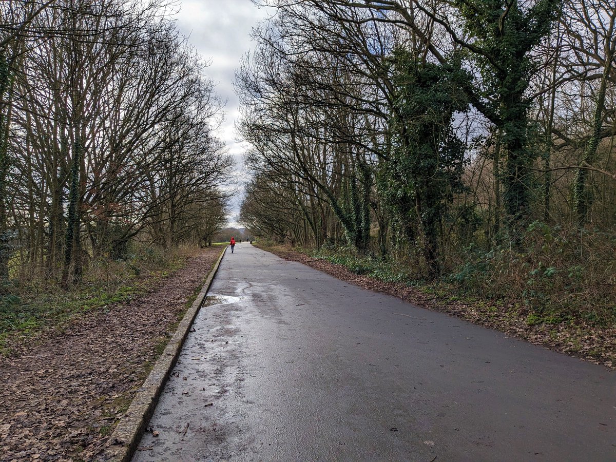 First formal marathon training session! @DingleMarathonale