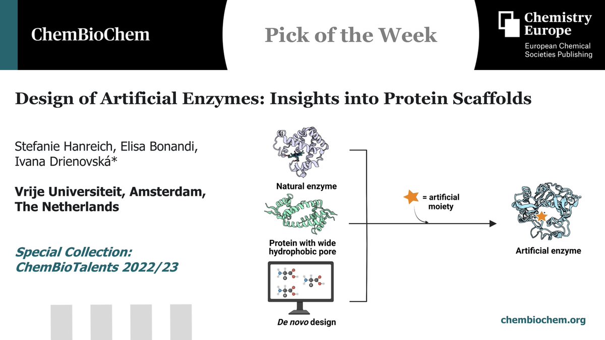 Pick of the Week, published #OpenAccess in @ChemBioChem by @Steffi_Hanreich, E. Bonandi & @IvanaDrienovska at @VUamsterdam:

'Design of Artificial Enzymes: Insights into Protein Scaffolds' bit.ly/CBIC_0566

Part of #ChemBioTalents 2022/23: 
…mistry-europe.onlinelibrary.wiley.com/doi/toc/10.100…