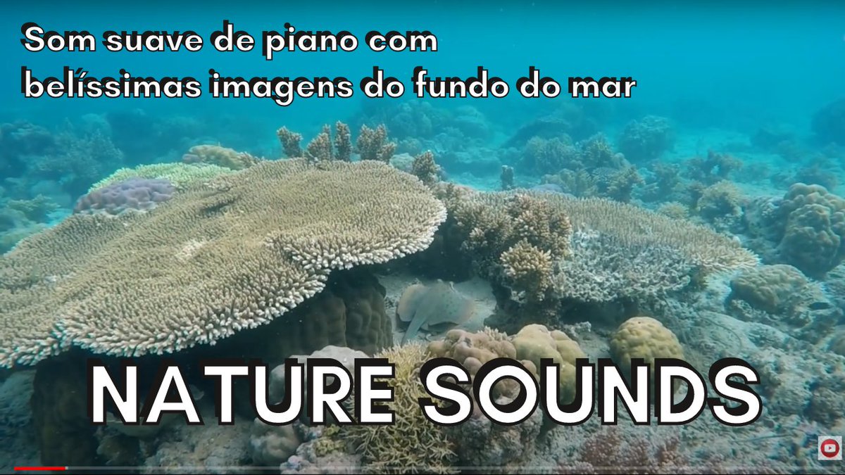 NatureSounds_23's tweet photo. Som suave de piano com belíssimas imagens do fundo do mar.
https://t.co/Vlah8wzyNh
#yoga #sleep #healthsleep #musiceverywhere #musicislife #enjoylife #Peace #sleepless #relaxing #destressing #relaxation #focus #concentration #flute #piano https://t.co/etpKd2njzh