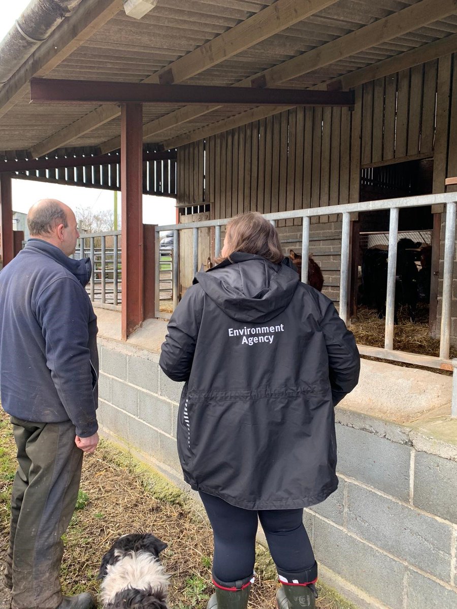 Our Agricultural Regulatory Inspection officers had a busy morning in #Hereford yesterday. All looking good with the #FarmingRulesForWater regulations at this visit with farmer Nick Lloyd. Meeting some lovely farm dogs is always a bonus of the job! 🐕 gov.uk/government/pub…