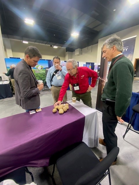 SCRI2xPotato's tweet photo. The Potato 2.0 team and Potatoes USA displaying diploid varieties at the 2023 Potato Expo, explaining misconceptions and bringing awareness to the team.
@potatoesusagcc  @POTATOEXPO @DaveDouches https://t.co/C4XWrqH6o3