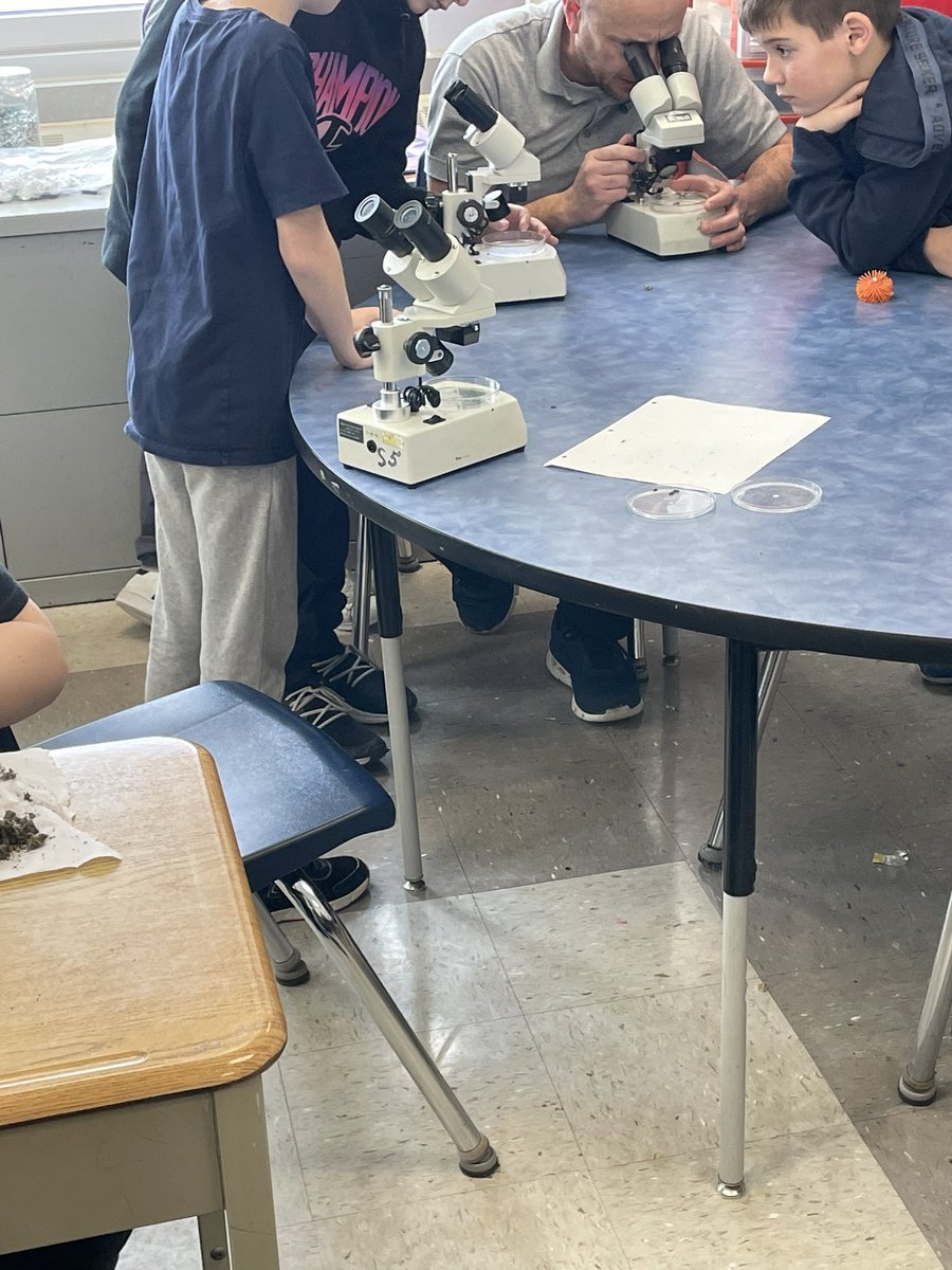 Grade 5’s enjoying identifying different bones found in owl pellets. Thank you Mr. Weglarz and GECDSB!