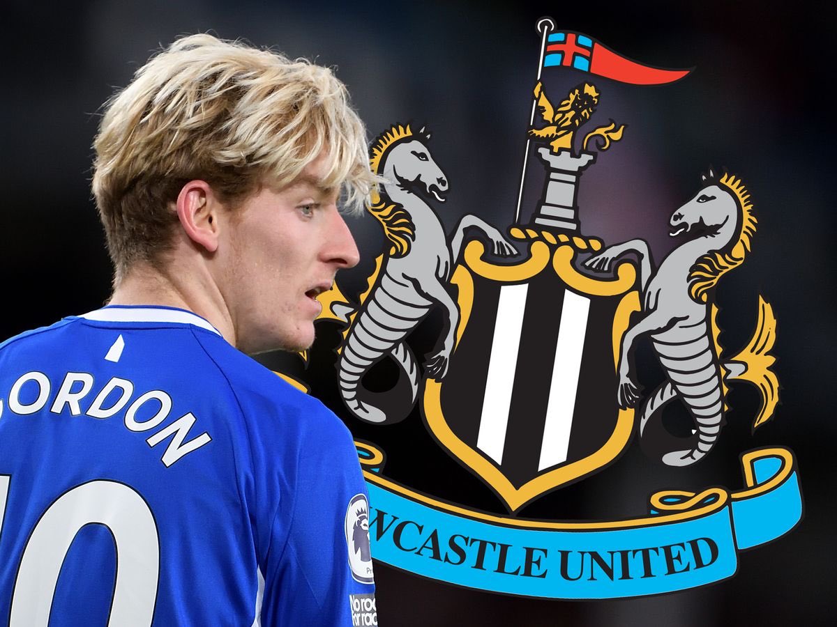 ToonArmy tweet media