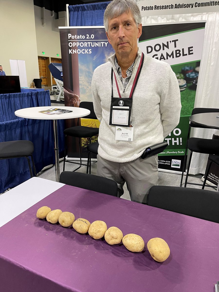 SCRI2xPotato's tweet photo. Dr. Dave Douches representing the Potato 2.0 project at the 2023 Potato Expo, displaying diploid varieties in comparison to Lamoka. Notice Dave's badge, "ASK ME ABOUT DIPLOIDS!"
@POTATOEXPO @DaveDouches https://t.co/zEgEckmDe5