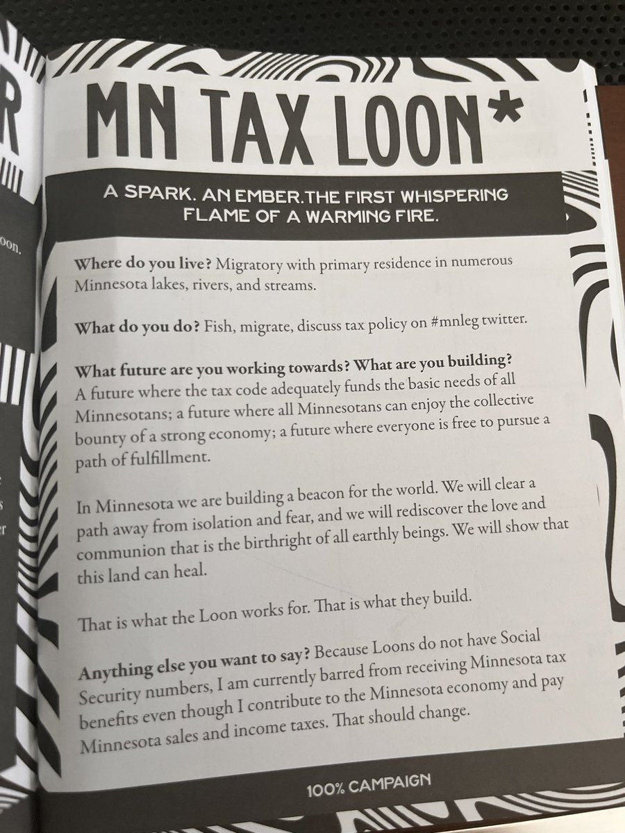 So excited for HF 7, which will give MN 100% clean energy by 2040! 

@100PercentMN has done incredible organizing and advocacy on this. AND they featured your fav tax loon in their annual planner 😍🥰💜.
