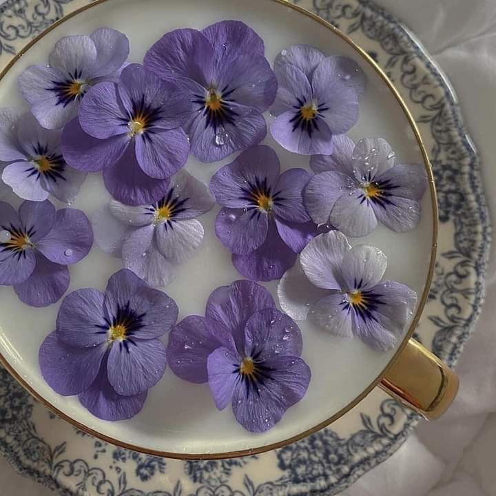 flower tea