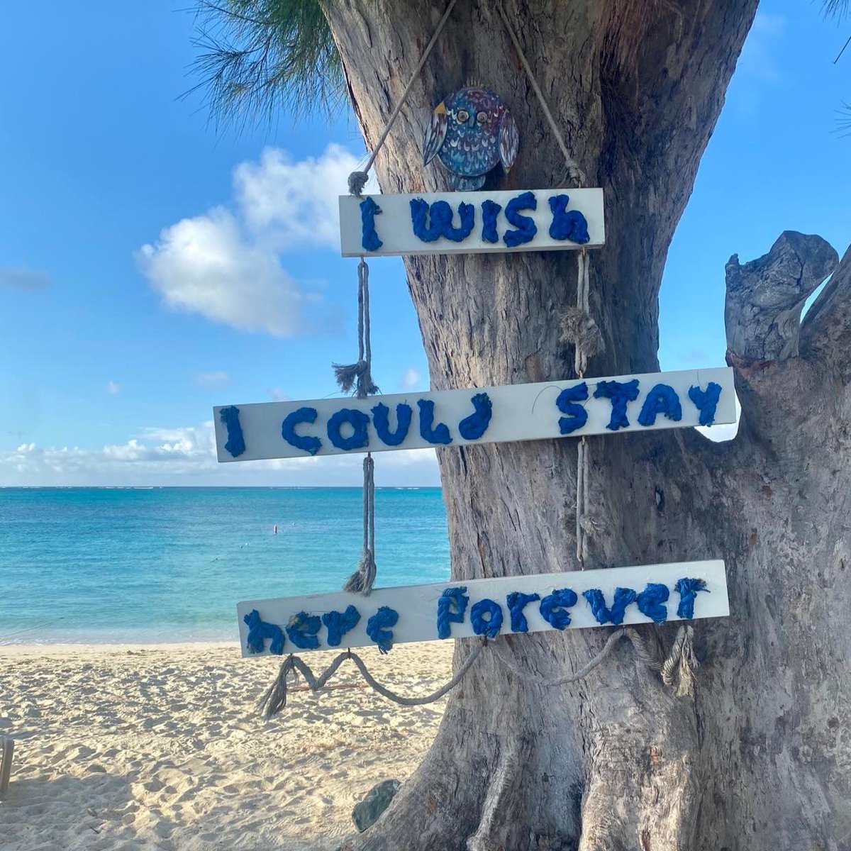 Move100Ottawa's tweet photo. This sums up how we feel about our last day in Paradise! π΄βοΈ But you could be at @BeachesResorts soon!
Listen weekdays starting at 7AM for for the password and enter it online to swap your workday for a beach day π
#GenerationEveryone #BeachesResorts #BeachesTurksAndCaicos https://t.co/btUlSOwmwI