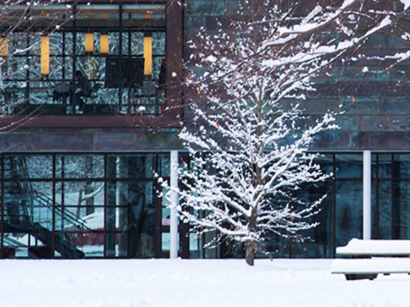 February LCIRT Newsletter: Student Research Enhances Engagement &amp; Self-Discovery - mailchi.mp/7d685a316ef5/j…