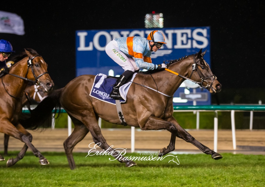 Delighted to have trained our first winner in Meydan today with Coachello taking the Listed Dubai Sprint under Pat Dobbs for owners Alymer Stud! 

#DWCCarnival

📸 @erikar_photos