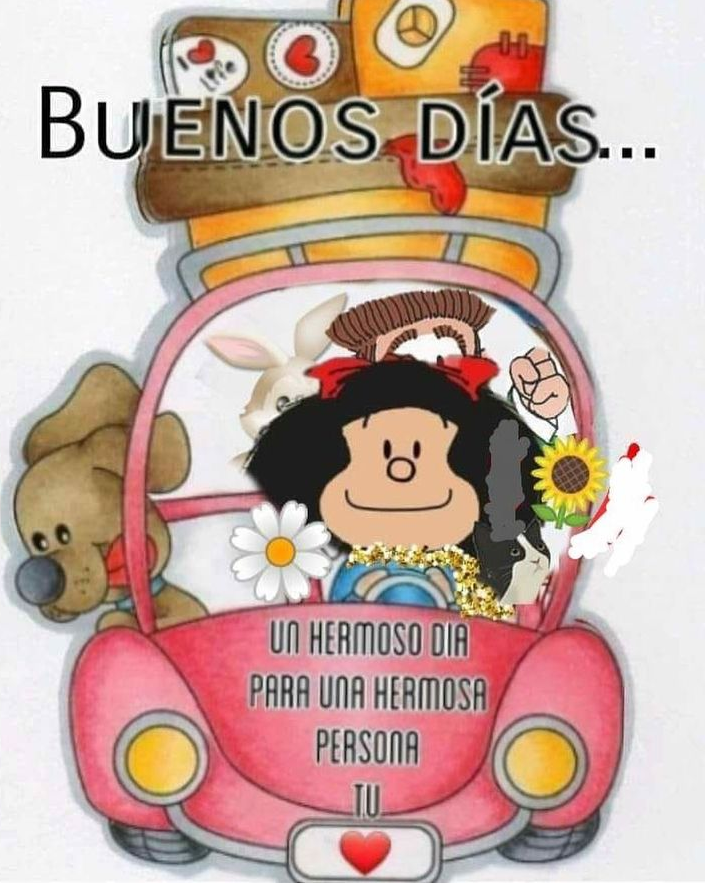 AleSnchzv's tweet photo. https://t.co/TN3CVLAEb5