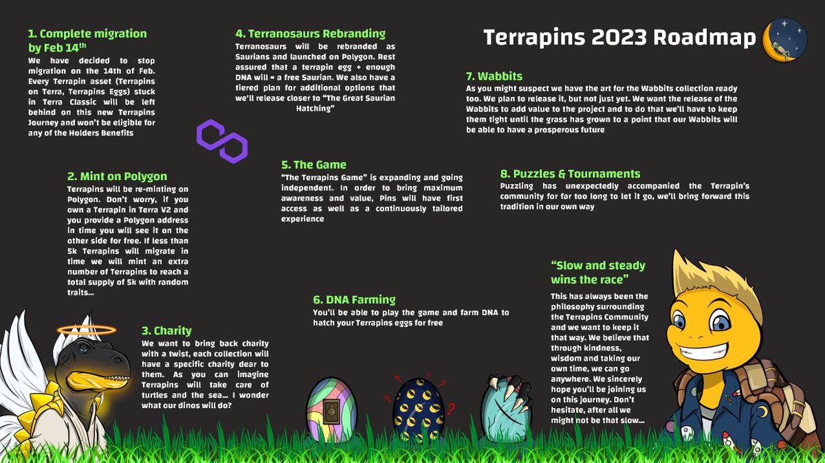 Terrapins tweet media