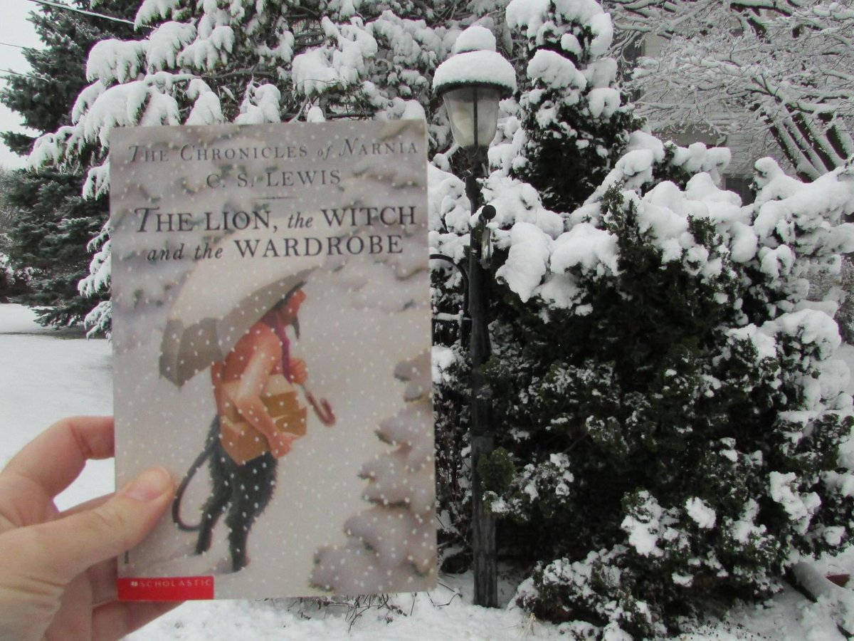 Happy #BookFaceFriday! #narnia #snow