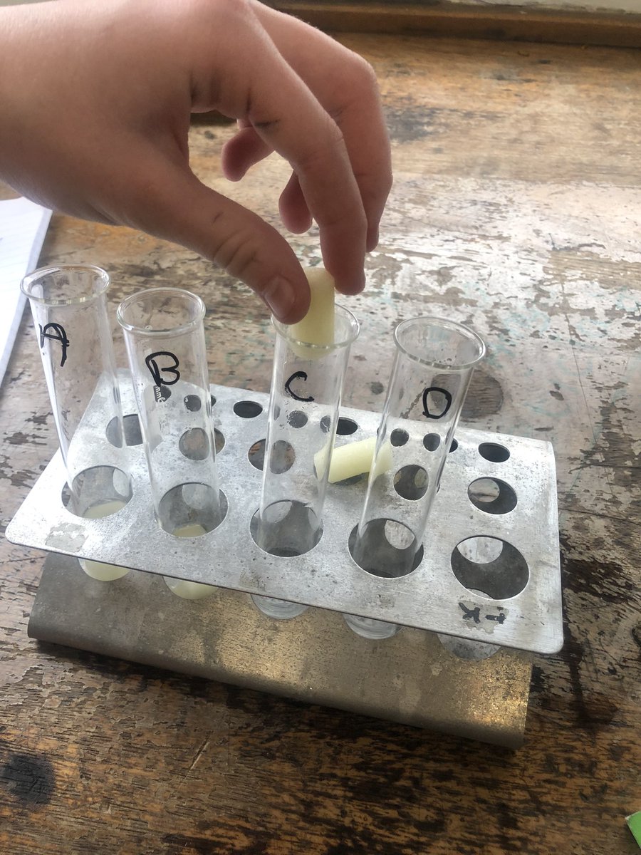 PatchwayS's tweet photo. In another lesson Year 9 set up a practical to investigate osmosis #ambitious #respectful #excellent @olympustrust @patchwayc_s https://t.co/TjlORCDpA0