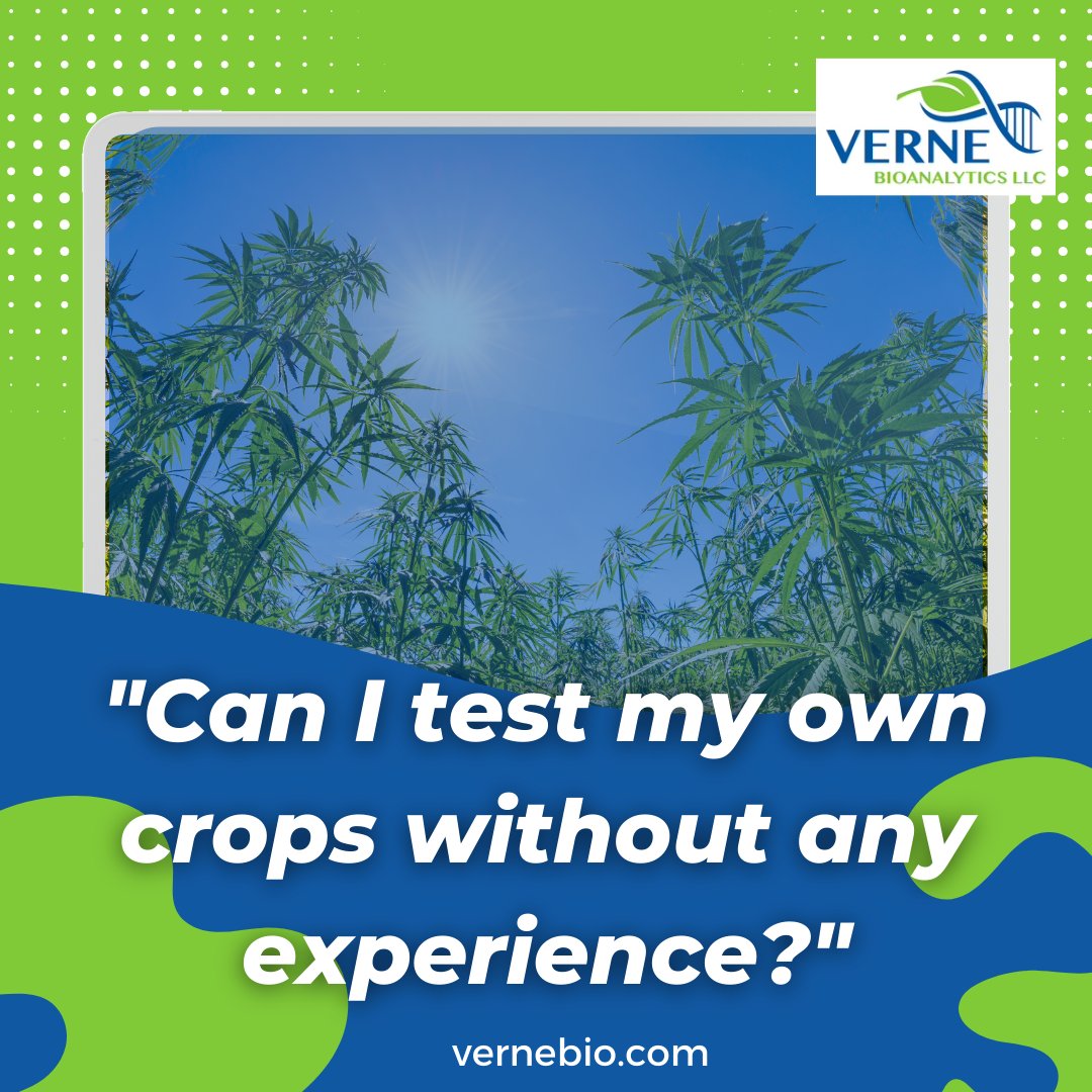 VerneBio's tweet photo. Here at Verne, we say go for it!
If you'd like to try it at home, you can purchase our easy-to-operate i-Test kits - specifically designed to make it easier, accurate and quick for you.
#vernebioanalytics #cannabis #hemp #itest #wetest #cannabisindustry #cannabiscommunity https://t.co/XbrrkvZAEa