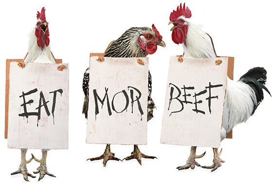 sol_Chikz's tweet photo. @MagicEden @amystreet @SOLCodeMonkey @notashenone @shrimpgangsol eat mor beef https://t.co/iiPXBhsdX6