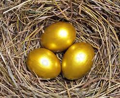 sol_Chikz's tweet photo. @IcedKnife 3 eggs but i'm down rn https://t.co/E6ykqiADYx
