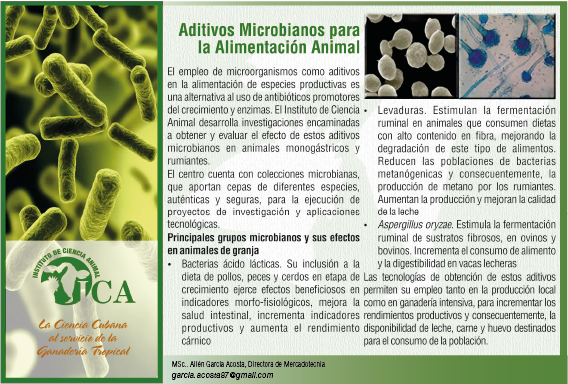 El Instituto de Ciencia Animal, pone a su disposición variadas tecnologías para la producción animal en el trópico. Si está interesado, comuníquese con nosotros para conocer los detalles. 
#Cuba #ICACuba #ProduccionAnimal #Ciencia #VamosConTodo