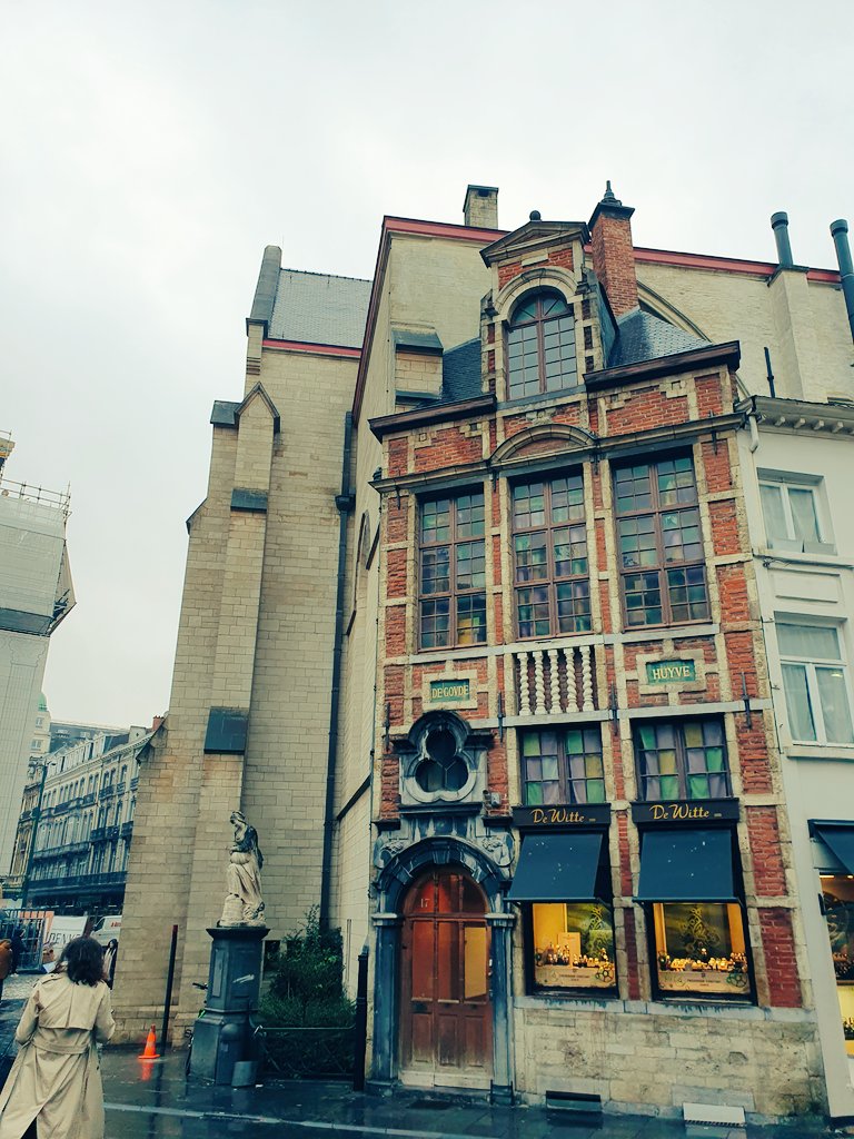 robynj44's tweet photo. When work takes you to lovely places. A short visit to Brussels for @ECFSConference  &amp; @ECFSRegistry Winter Meeting. Now, on to Amsterdam for the weekend 🇧🇪 ➡️ 🇳🇱 https://t.co/YU0UswzujO