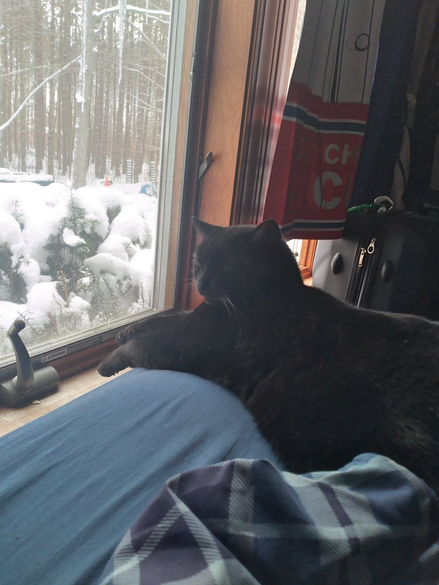 azsouth6's tweet image. #Roughlife