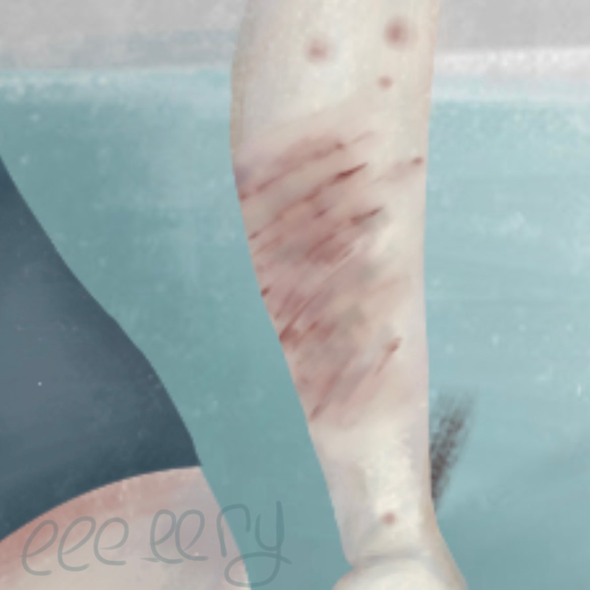 eee_eery's tweet photo. vent
#art #digitalart #ventart #vent #selfharmart https://t.co/hD3LmA43CF