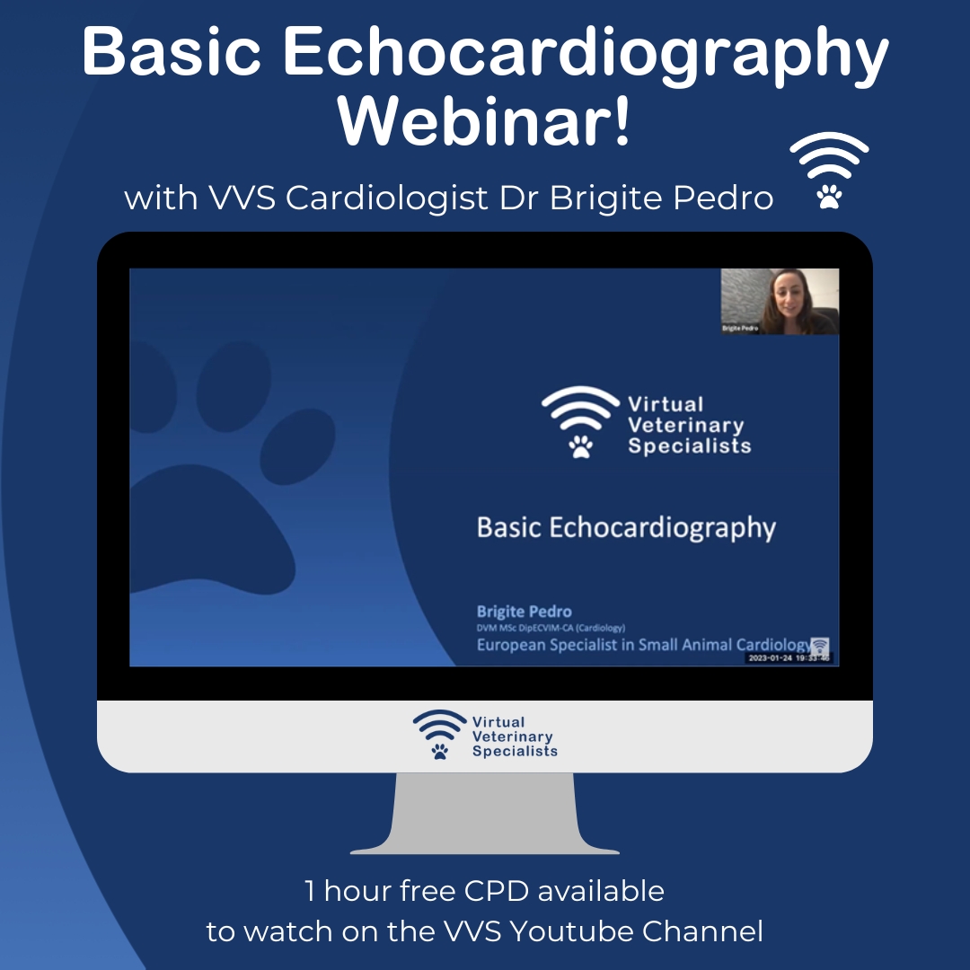 Did you miss our webinar with Dr Brigite Pedro where she talked through 'Basic Echocardiography'? 🫀

Don't worry! You can catch up with the recording on our Youtube. 📱 

youtube.com/watch?v=VMSQXB…  🔗 

#vetcpd #vetcardio #vettwitter

vvs.vet