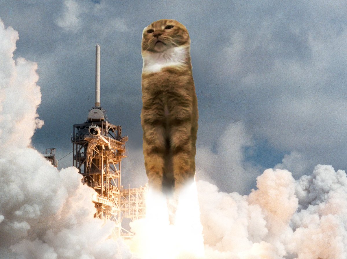 kloogans's tweet photo. where is he going https://t.co/8JKcGc0gt3