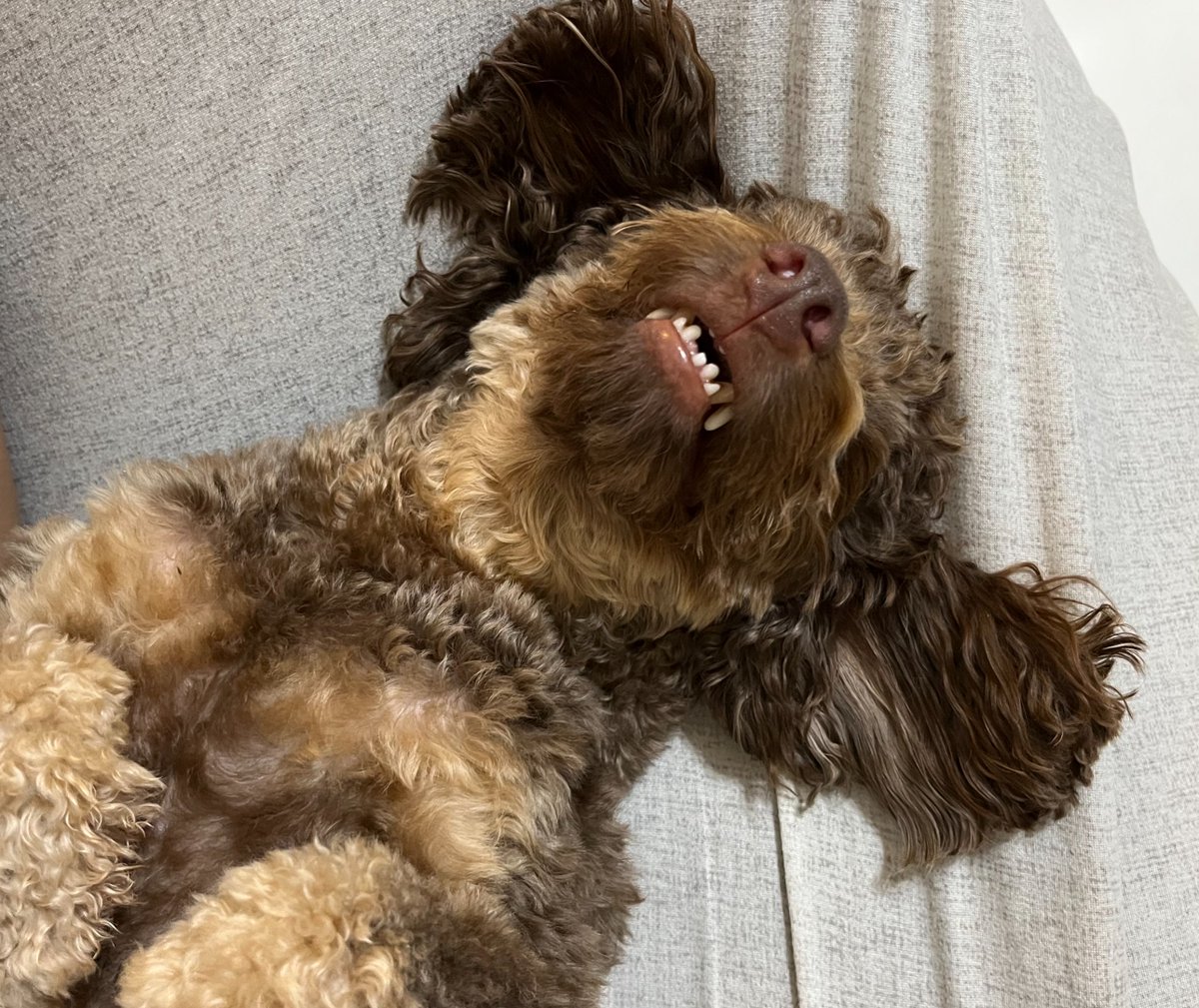 1Leetcode's tweet image. ちと時間かかった、
次、 Recursion