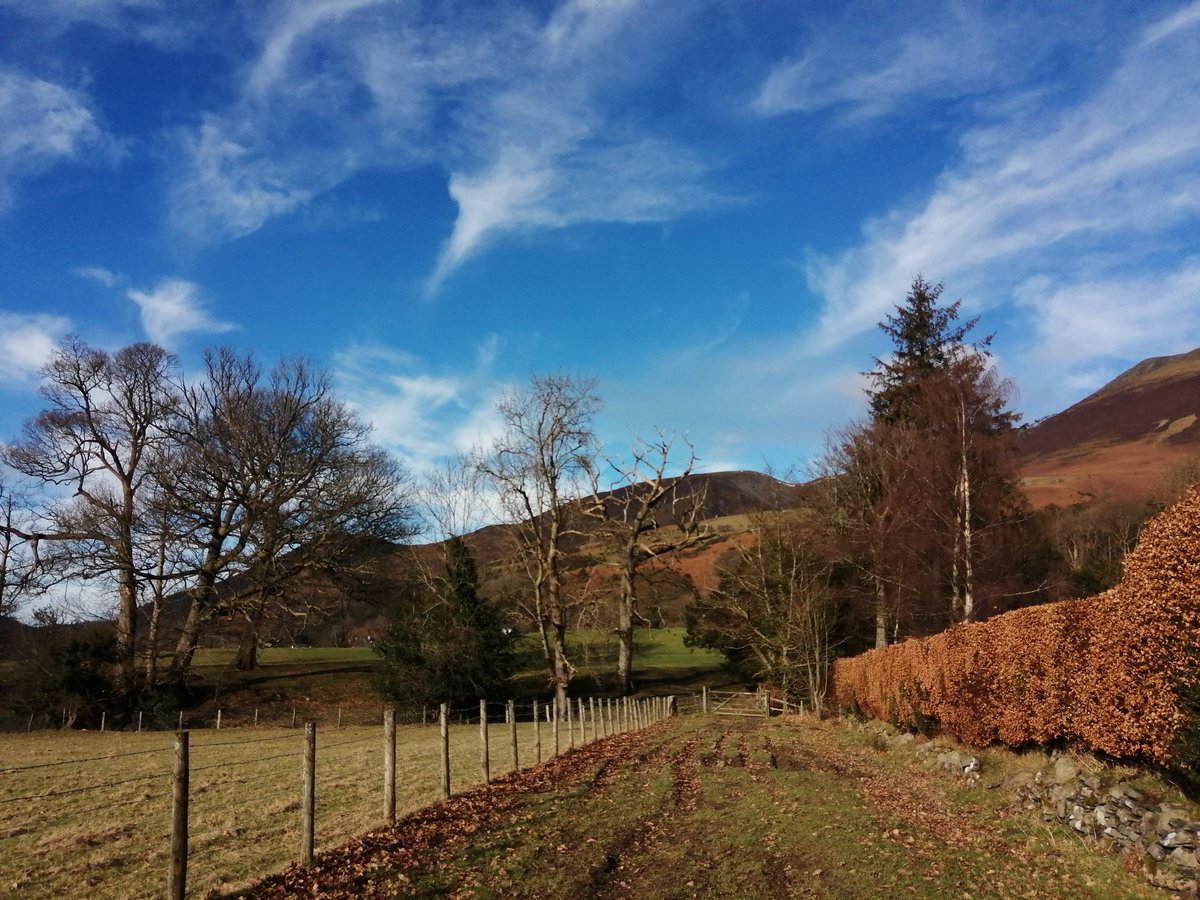 LinnettHill's tweet photo. A beautiful blue sky day so we had a walk through the fields over to #Applethwaite and #Millbeck 🌞
Claggy underfoot in places but lovely and quiet ❤️ #keswick #TheLakeDistrict #Cumbria #selfcatering #selfcateringaccommodation https://t.co/8ixL9Immd7
