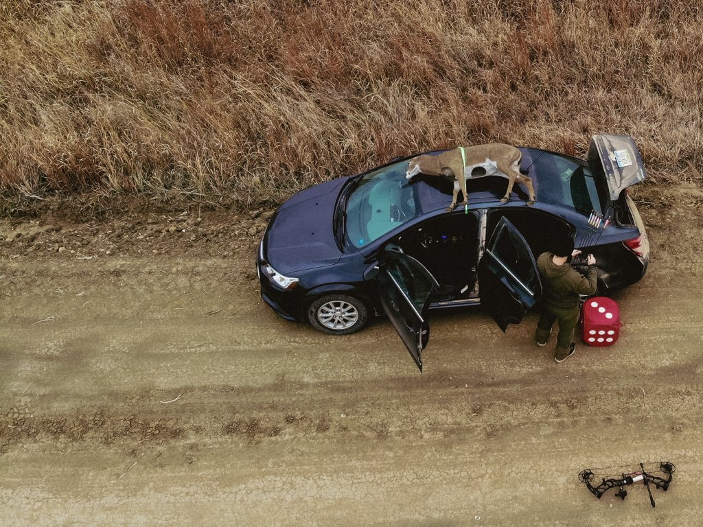 Somewhere on a clay road in Kansas.

Photo: <a href="/BPointTV/">The Breaking Point</a> 

#morrelltargets #huntingstartshere #shootmorrell #archery #archerytarget #bowhunting #bowhunter #shootyourbow #deerhunting #deerseason