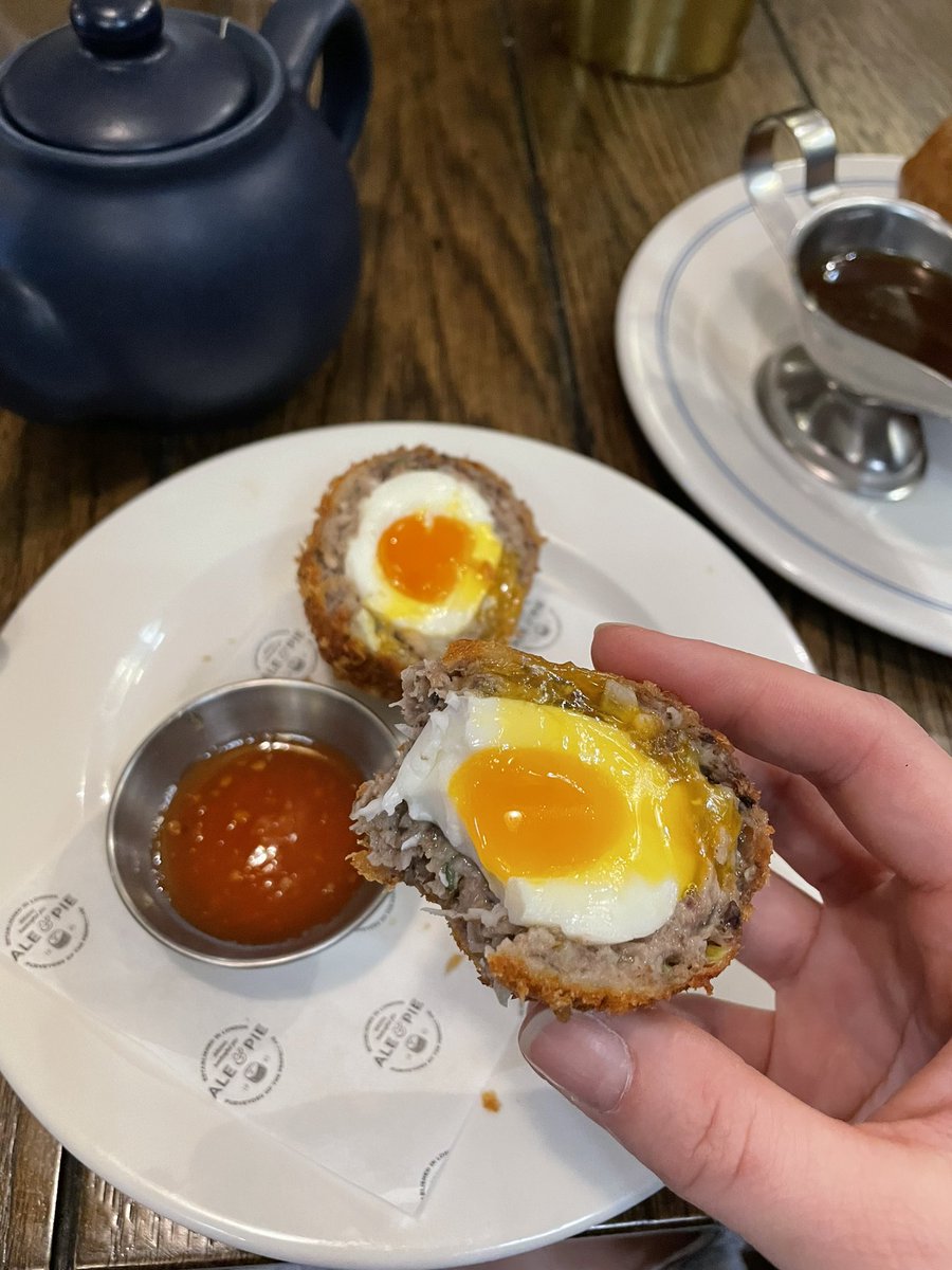 Ariel on Twitter "British food study; clotted cream, scotch eggs