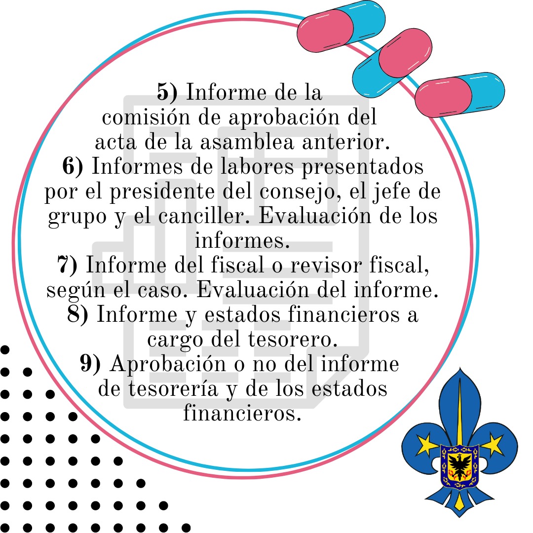 Scouts de Bogotá tweet media