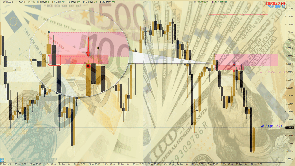 Mr.Hamster tweet media