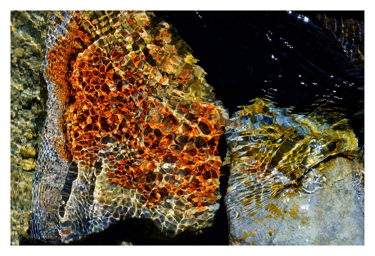 and2ia37's tweet photo. Abstract nature
https://t.co/z7pXGKCjBo

#NFTs #NFTCommunity @opensea #NFTCollection @nftnftnftart #nftart #nftphotography https://t.co/bDlonI7fhv