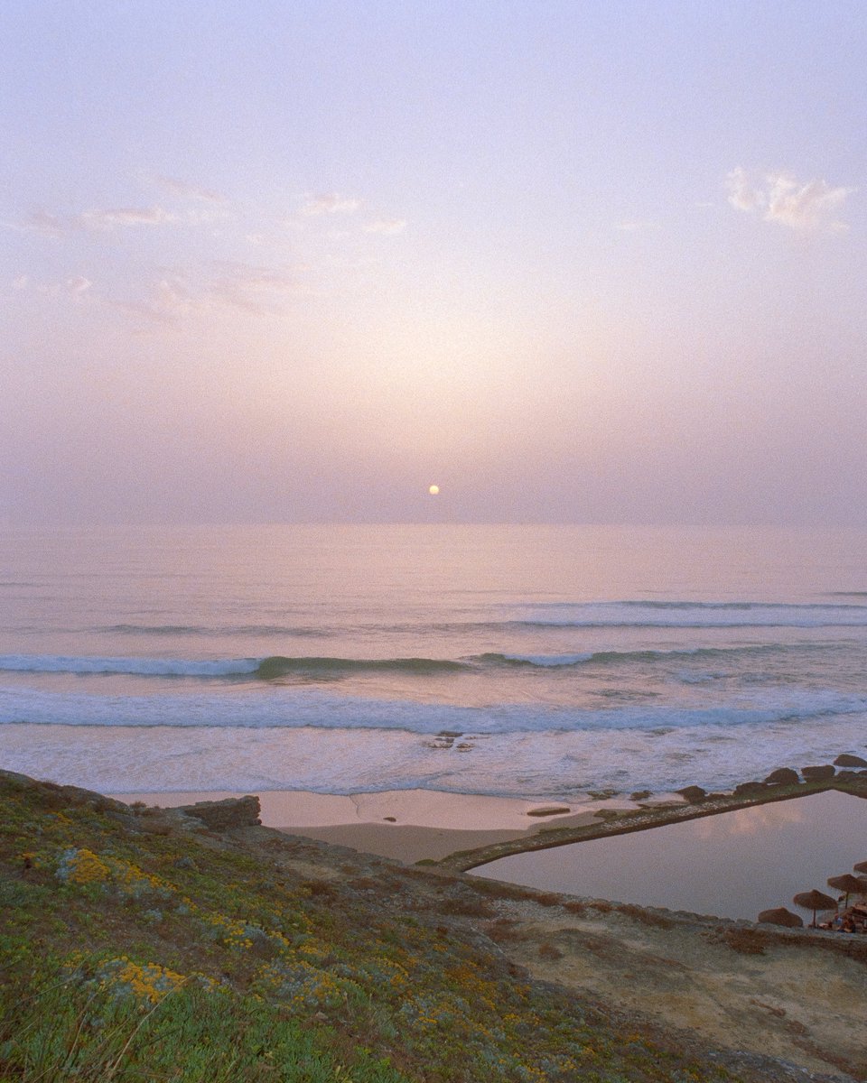 The film.     🎞️     The photos.