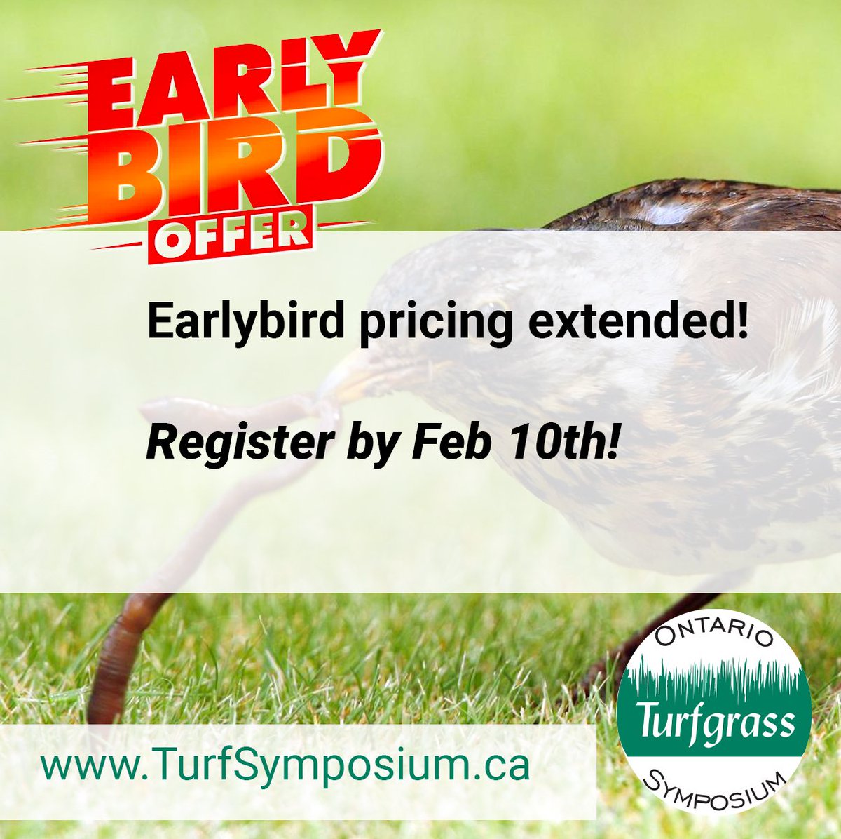 We've extended our earlybird registration for the Ontario Turfgrass Symposium. Check out our stellar lineup, which features GCSAA, ORFA, and IPM continuing education credits at TurfSymposium.ca
#Guelph #Ontario #Canada #Turfgrass #OTS2023 #lawn #golf #sod #sporr