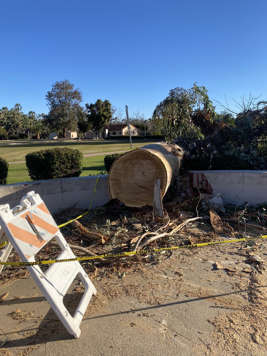 Balboa Park officially reopens this morning after the city closed it yesterday when more than 20 trees uprooted and toppled. Tree removal and clean up is ongoing this morning. <a href="/fox5sandiego/">FOX 5 San Diego</a> <a href="/CityofSanDiego/">City of San Diego</a>