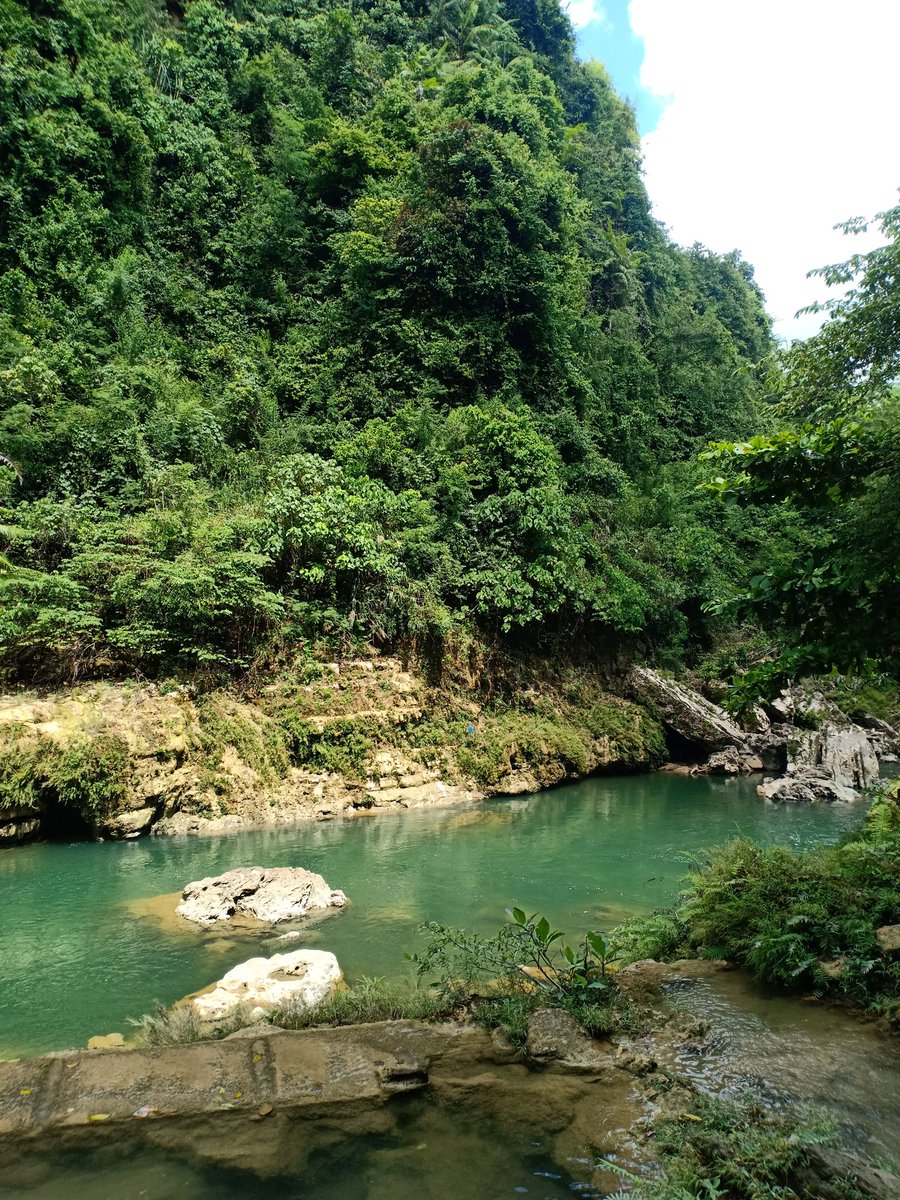 Park_Shol tweet media