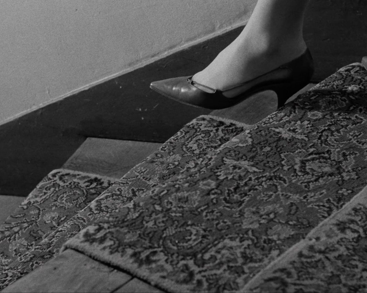 mubi's tweet photo. Guess the film. https://t.co/UMrpi0oYaR