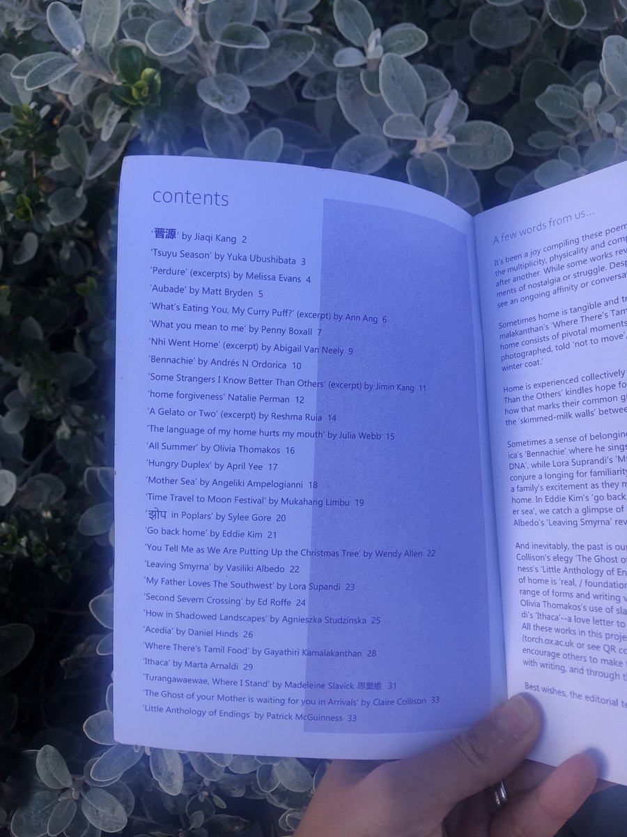 Jennifer Wong (she/her) tweet media