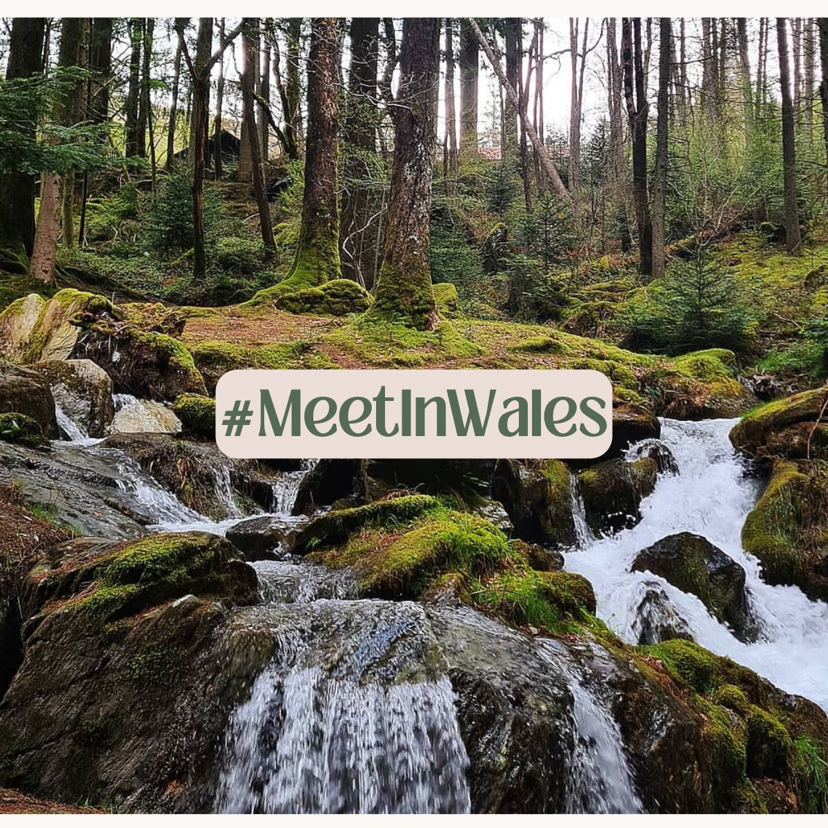 Reasons to book your conference at the Metropole Hotel &amp; Spa?

👉 Nestled in the heart of Mid-Wales
👉 Unrivalled experience and facilities
👉 A dedicated events team on hand to support you
👉 Away from the hustle and bustle
👉 Nature on your doorstep