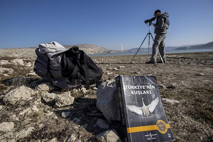 ❝Bu bölgelerde avcılar kontrol ediliyor❞

Kış aylarında sıcak ülkelere göç etmek üzere Türkiye'ye gelen su kuşlarının Ankara Sarıyar Barajı'ndaki molaları renkli görüntüler oluşturdu