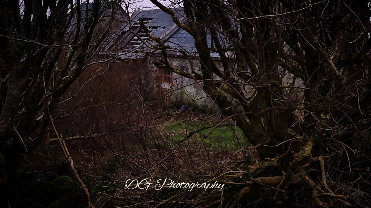 DGPhotography9's tweet image. Down by Granda's old cottage!! #samsunggalaxy #oldcottage #vignette #wanderer 📸😋