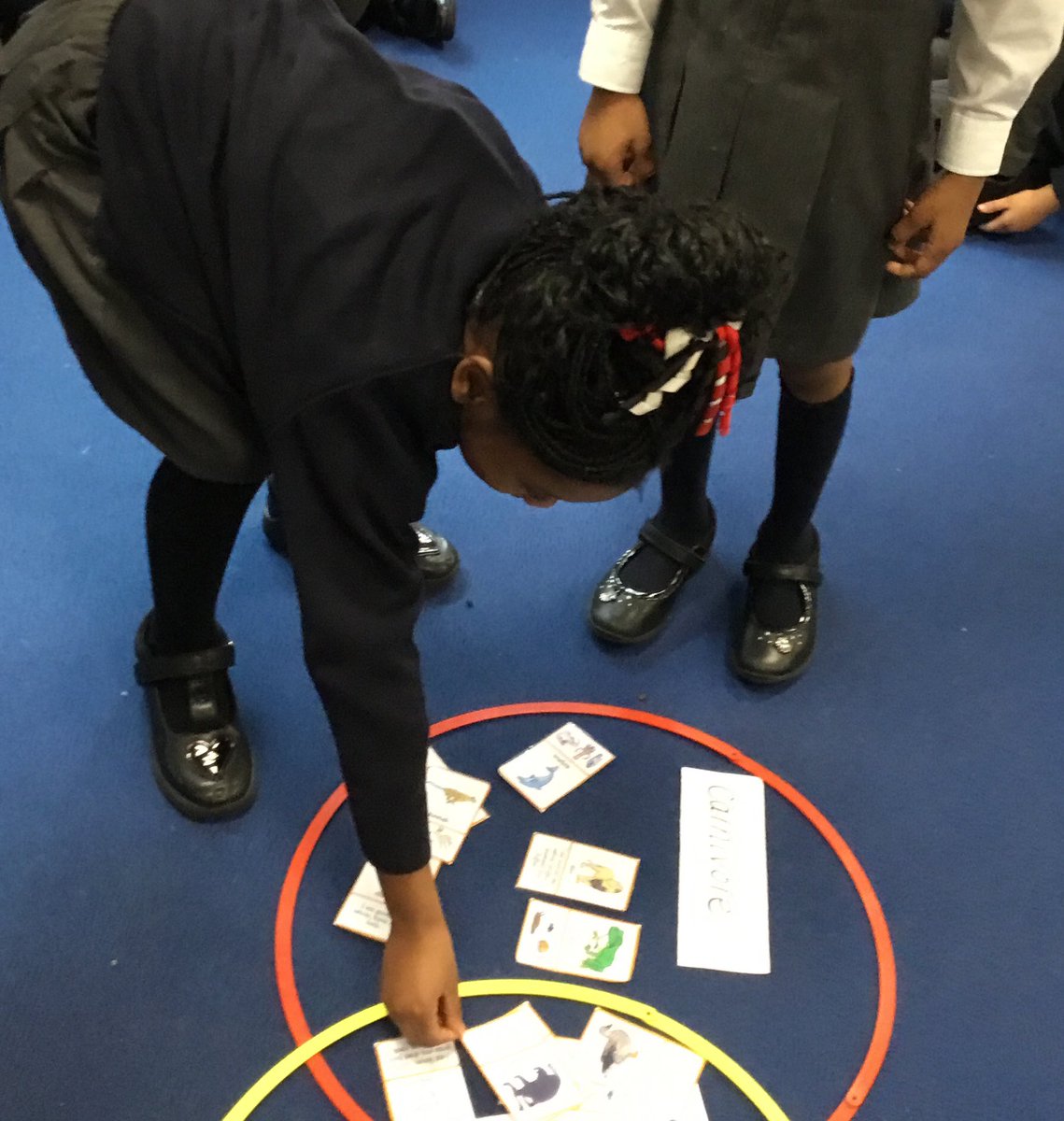 PleasantScience's tweet photo. Year 1 have been learning about the diet of different animals. Sorting carnivores, herbivores and omnivores @C1Pleasant @PleasantStPrim https://t.co/859WqoMLRB