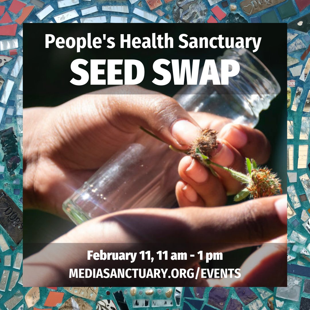 Upcoming! People's Health Sanctuary Seed Swap & Open House Where: NATURE Lab 2nd floor, 3319 6th Avenue When: 11 am - 1 pm Saturday Feb 11, 2023 More info: mediasanctuary.org/event/peoples-…