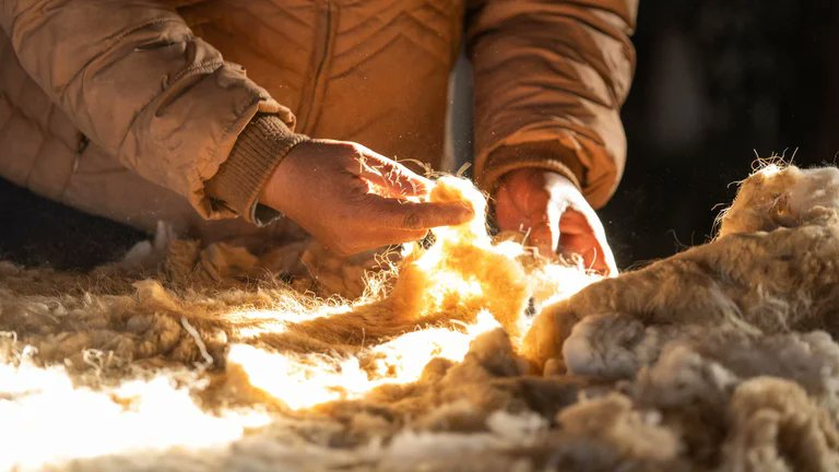 “Mediante la tecnología #NFT, se logra que cada pieza contenga información acerca de la mujer que la diseñó. Se busca que cada prenda tenga identidad y #transparencia. Por eso, cada una contiene un dibujo digital de la tejedora y su historia”.