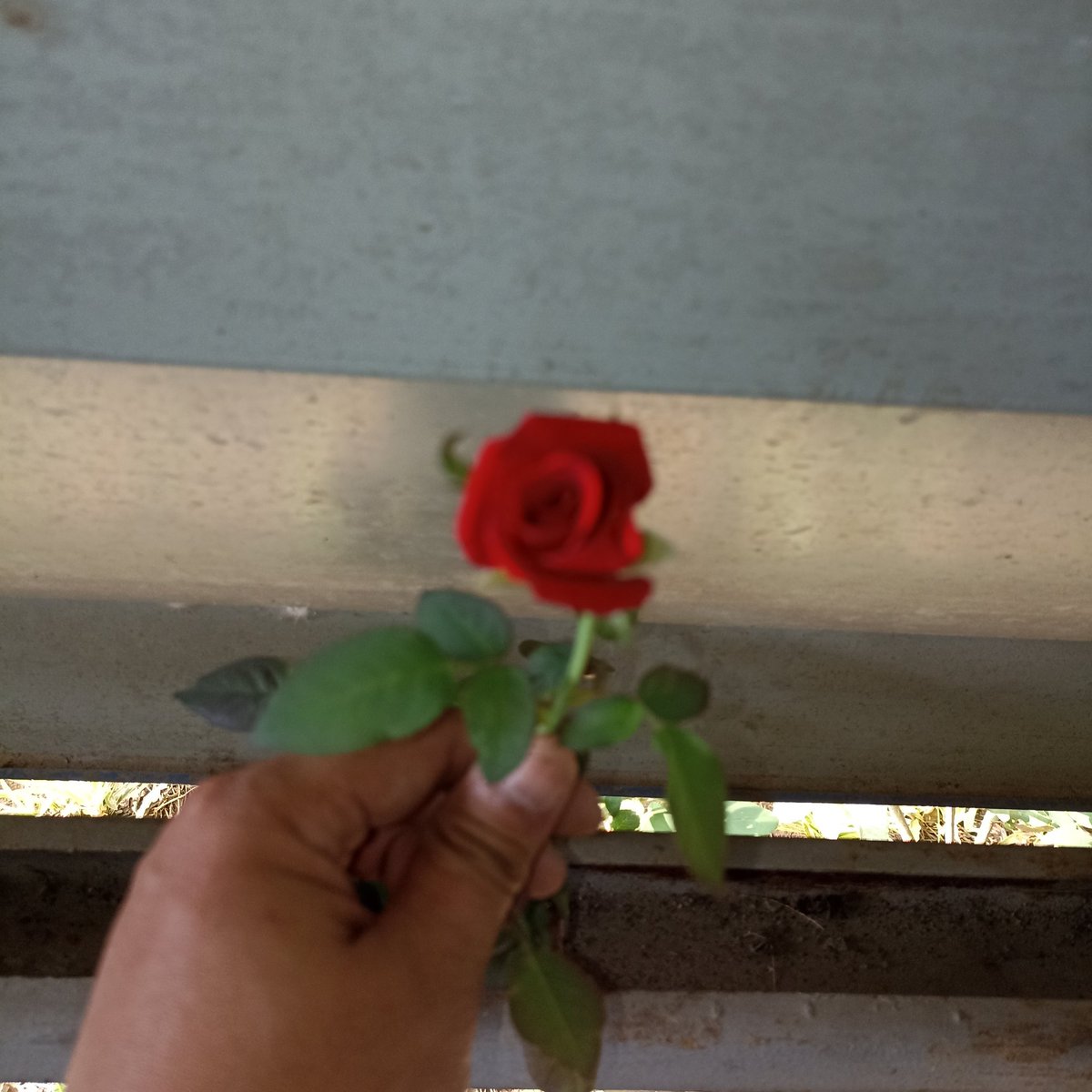 pugdeechot's tweet photo. #NewProfilePic https://t.co/35QOt4KJI7