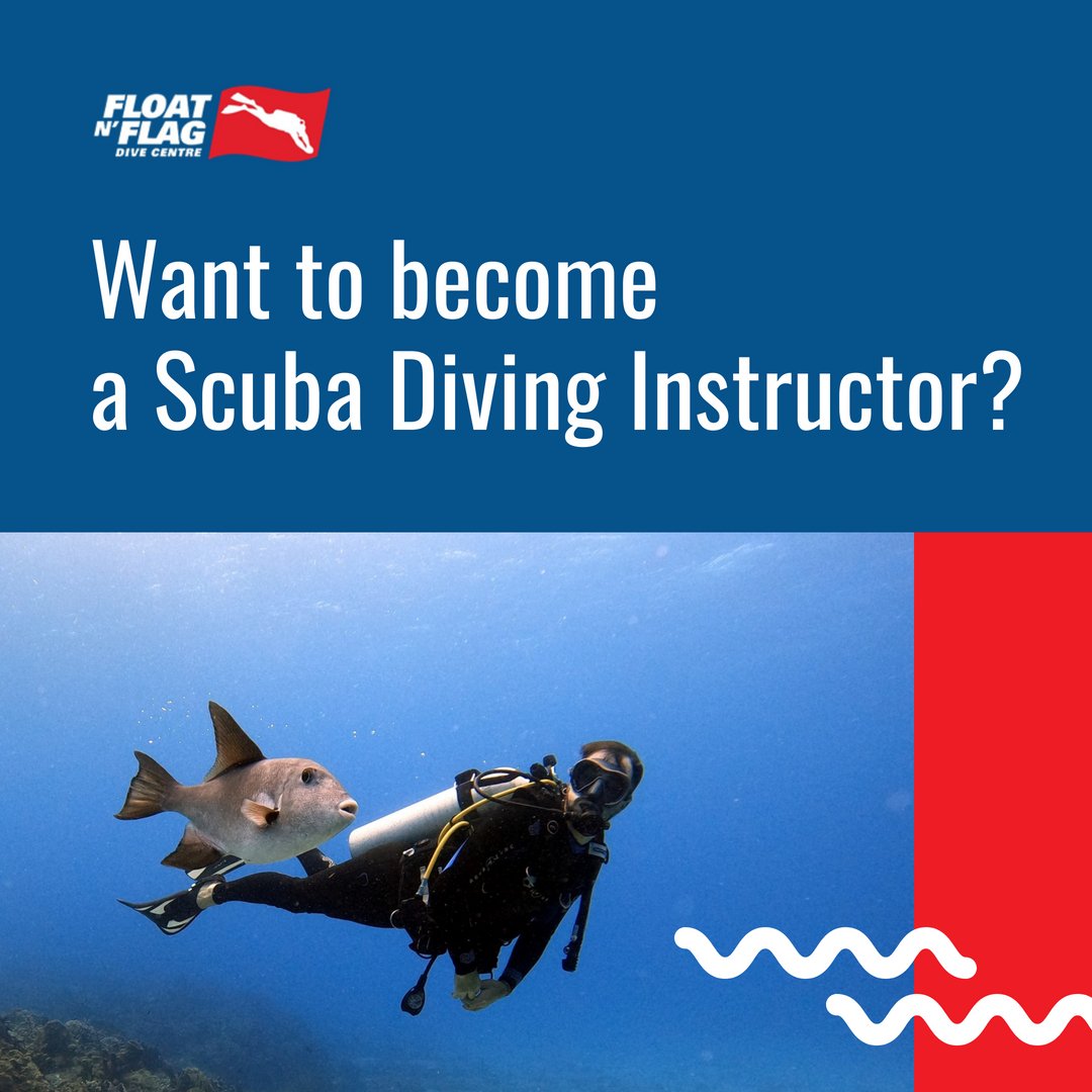 FloatnFlag's tweet image. Whether you are looking to “work” as a PADI PRO or you just want to improve your skills as a diver, our course director Brad will walk you through the course benefits and other details. Our next IDC is starting soon.

Learn more here: floatnflag.com/instructor-dev…