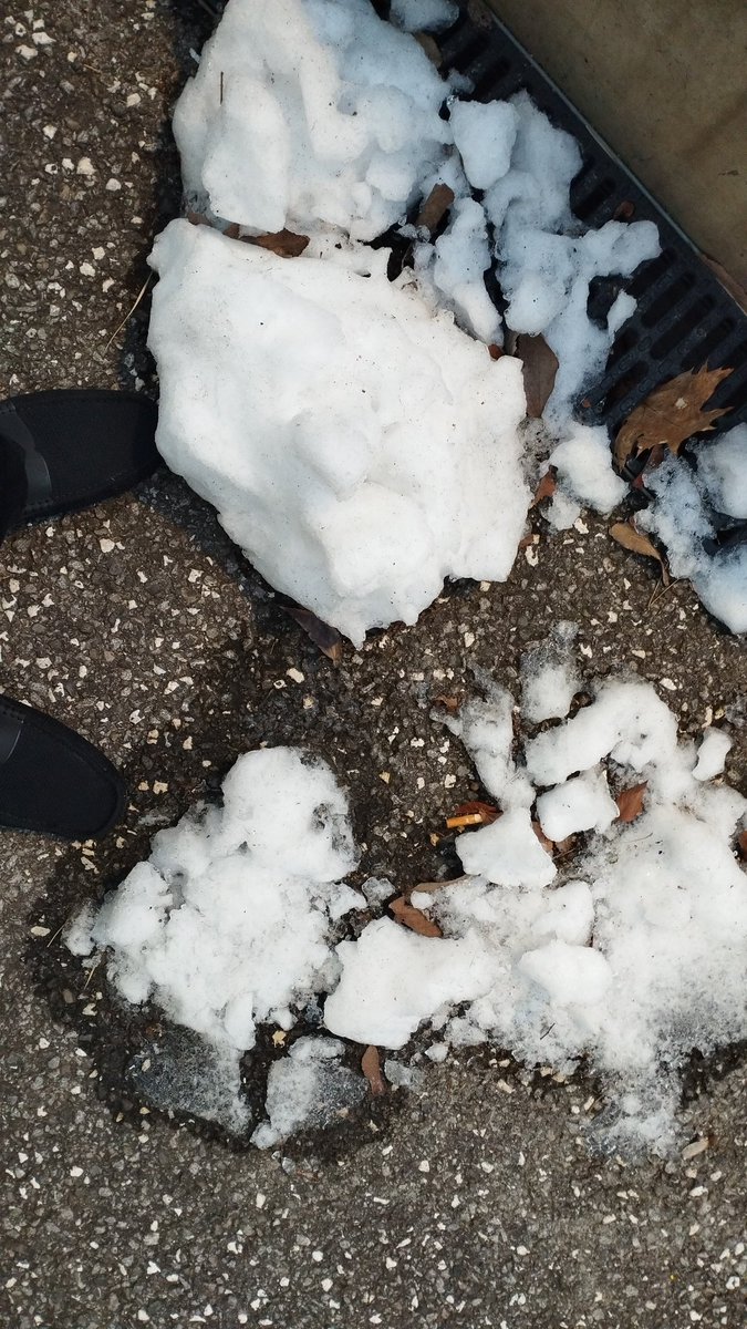 Anis Fuad tweet media