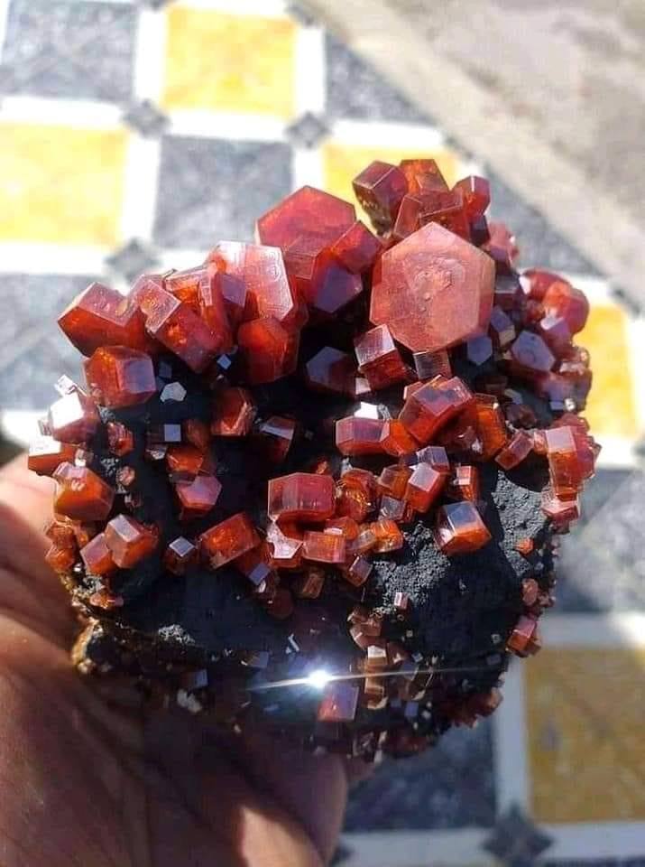 Hexagonal Vanadinite crystals  on goethite matrix 
Mibladen, Morocco

Photo: Abdel Abdel