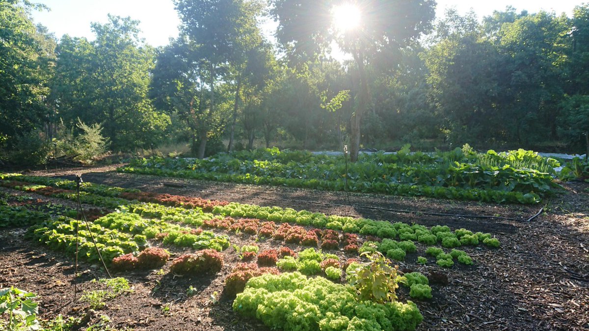 ♦ Sir Adam ♦ tweet media